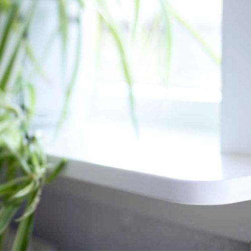 vit fönsterbänk med gröna växter framför